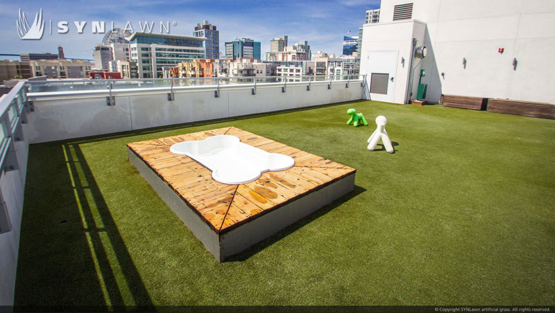 Artificial grass dogpark rooftop