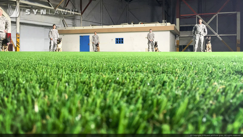 indoor artificial grass for dog parks