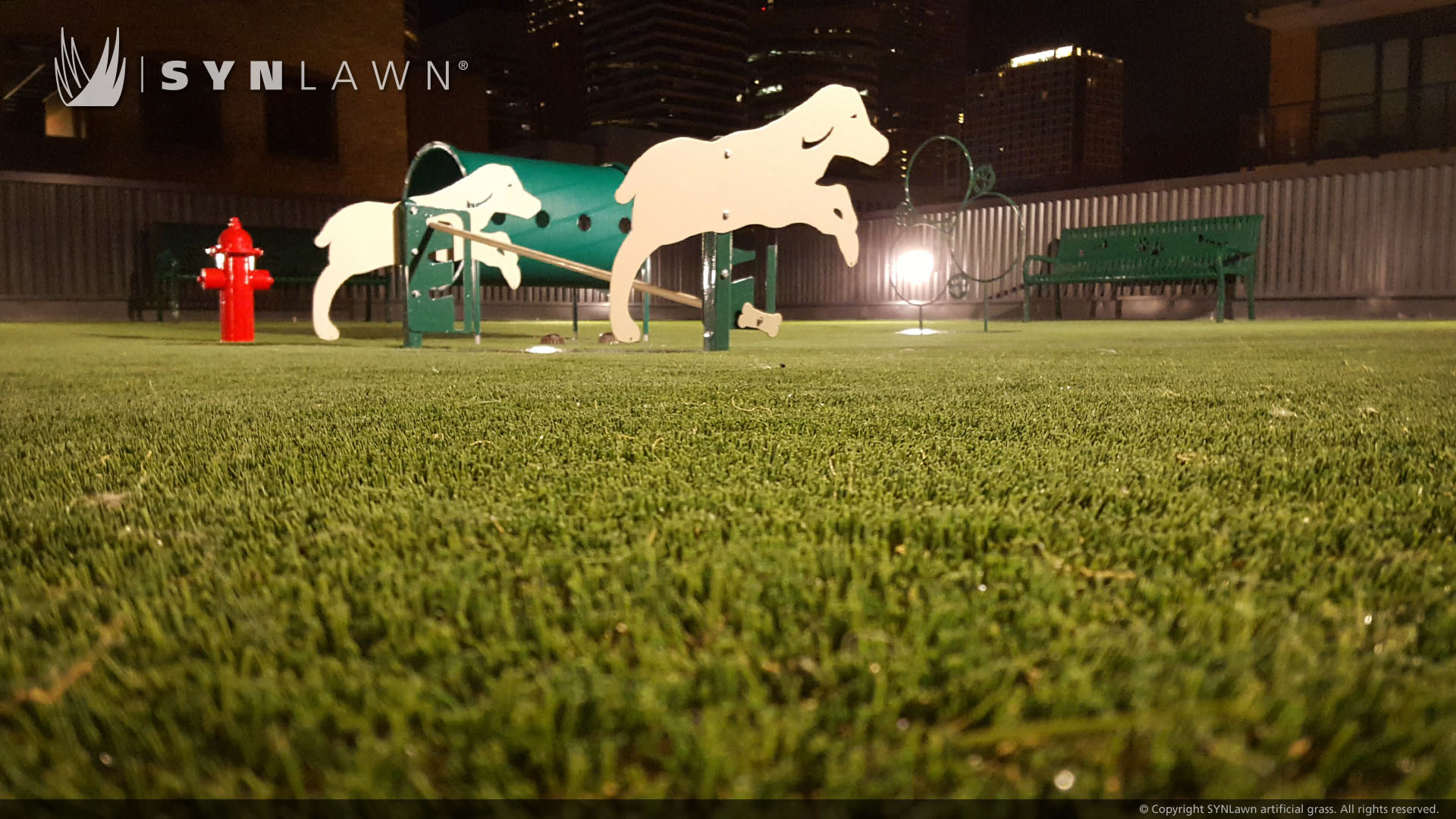 Commercial artificial grass for Dogs in South Carolina