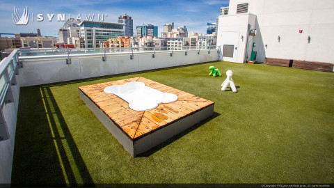 Commercial rooftop artificial grass dog park