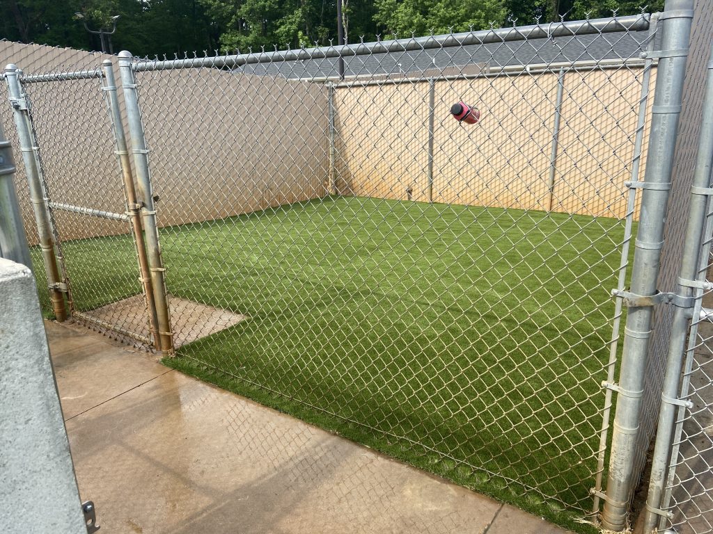 Commercial artifical dog grass enclosure from synlawn