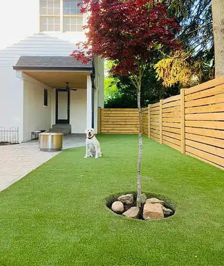 dog sitting on artificial grass lawn