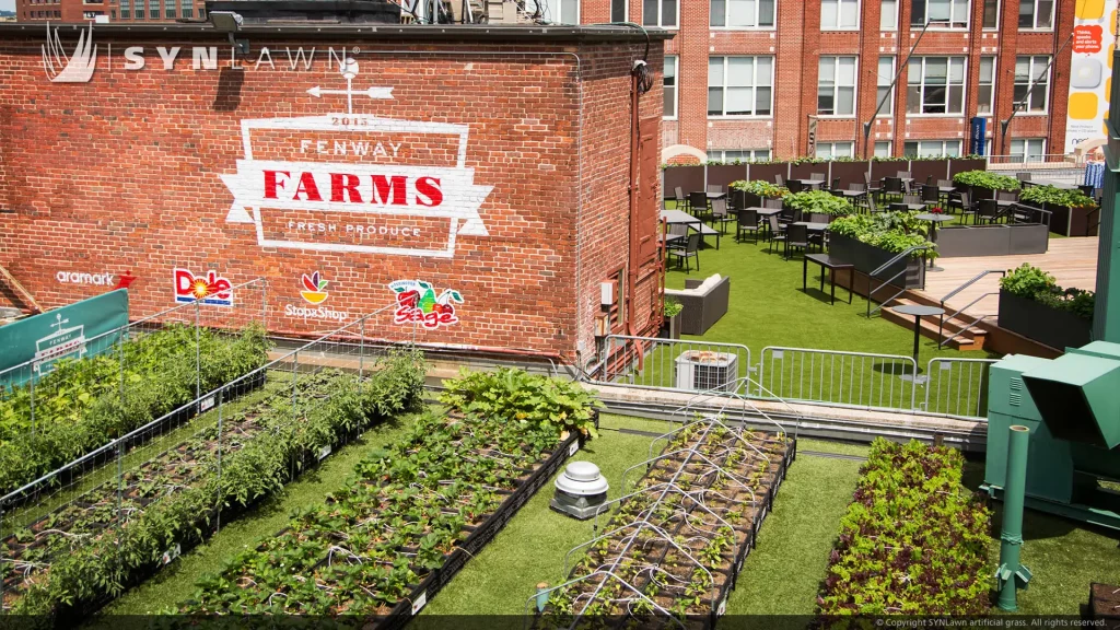 Commercial artificial grass lawn from SYNLawn