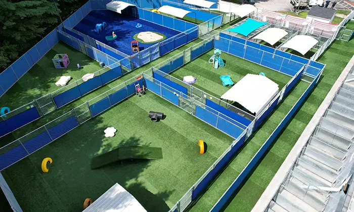 synlawn-sc-commercial-dog-run